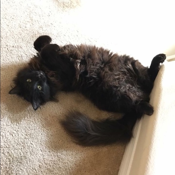 Welcome to Audshop🌟Poshmark Ambassador 🌟 - Picture 12 of 15